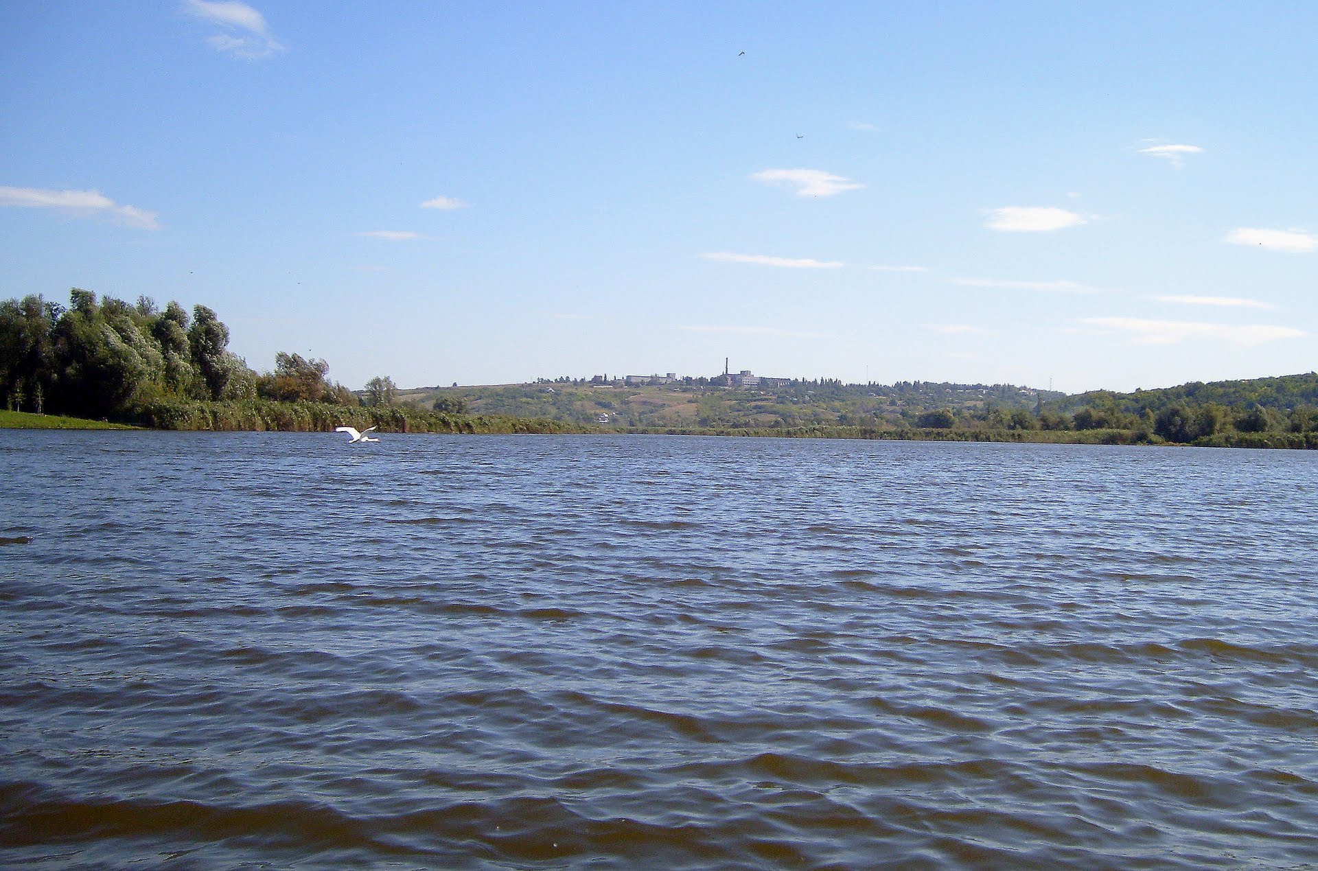 р. Кодима у с. Гвоздавка Перша